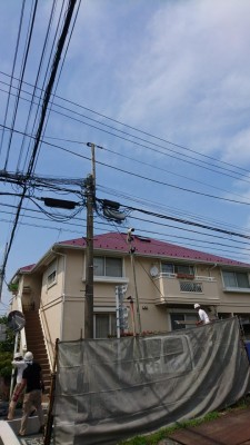 DSC_0478.JPG