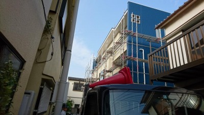 DSC_0555.JPG