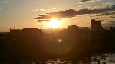 DSC_0565.JPG