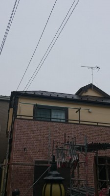 DSC_0716.JPG