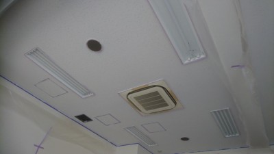 DSC_0842.JPG