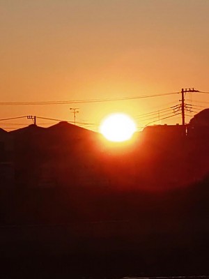 DSC_0110.JPG
